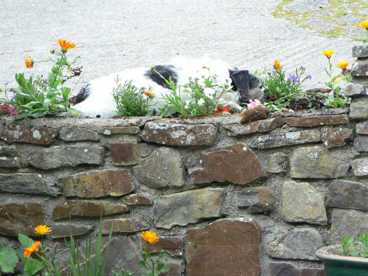 Old Keepers Cottage Bideford Buitenkant foto